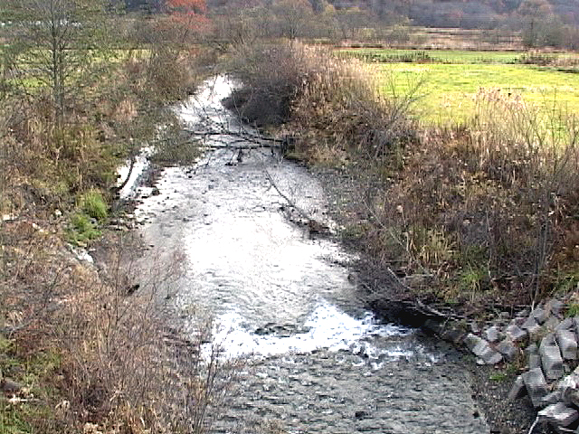 2003年・貯砂ダムのかなり上流の支流河岸崩壊DV-00799-A-067