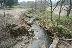 川底の砂利が失われ、岩盤化が進む。川底がさがり、川岸は至る所で崩れはじめている。