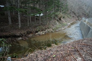 砂利が失われて、川底の岩盤の露出が広がっている。