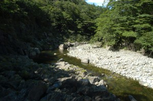 2004-08-18・加工済・幌満川ダムからの水はさえない