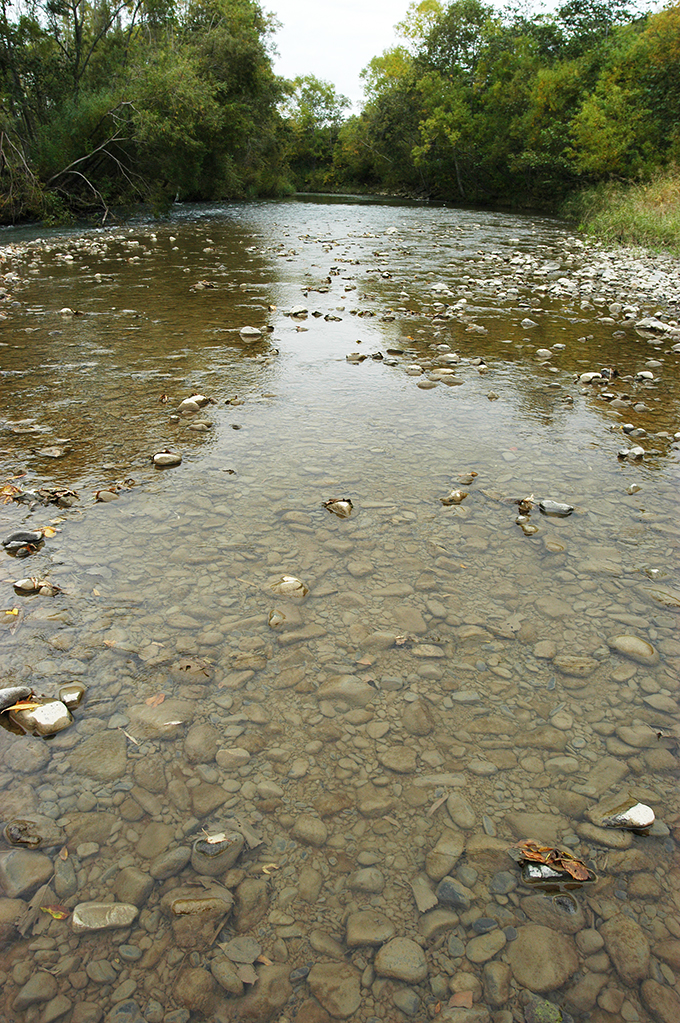 微細な砂やシルトが流れるようになるため、川底の石は泥を被る。また、川底の砂利の大きさも小ぶりになる。