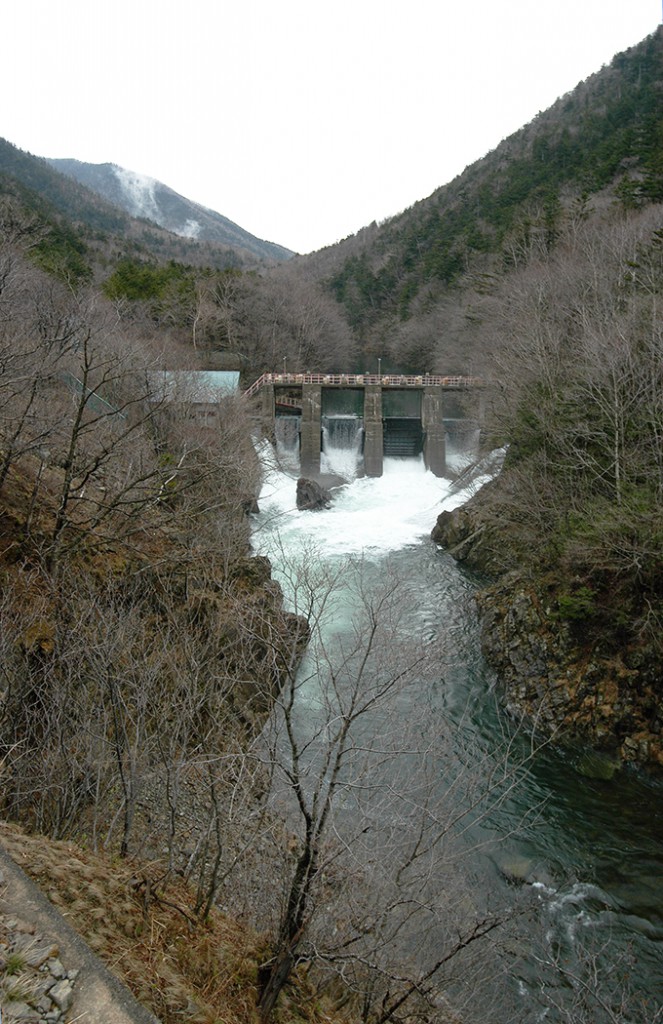 幌満川 流域の自然を考えるネットワーク