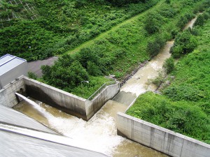 ダムが無い場合はきれいな水の流れに戻るのに…ダムがあるとダムに貯まった泥水が流され続ける。この泥水の影響は計り知れない影響を与えているのだが、それを突き止める調査や研究はされていない。だから、野放しにされている。