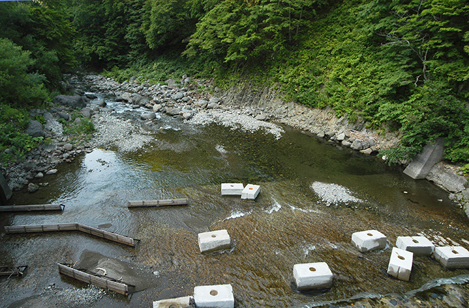 6年前の須築川砂防ダム直下。2008年8月11日。