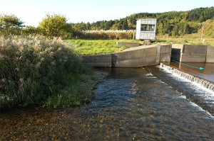 取水堰にはすでに魚道が設置されているのに…作り直すのだとか。