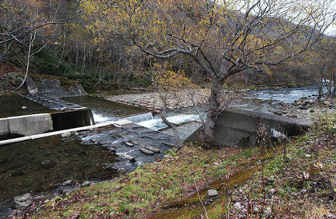 ダムの下流では川底が下がり続ける。