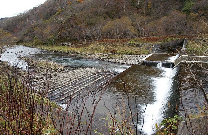 同じダムだが、コンクリートブロックが敷き詰められていないところは川底がどんどん下がる。そのため、川岸との落差が開き、川岸が崩れることになる。