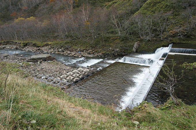 そのダムの下流では川底が下がり、川岸が崩れている。