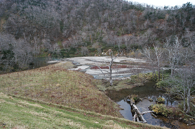治山ダムがあり、流れ下った砂利が止められている。上流の渓谷にあって、河口のような風景となっている。