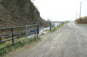 河口近くの川岸に階段があり、ここを下りて、間近でカラフトマスを見ることができる。