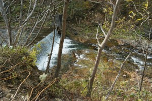 さらに上流にも治山ダムがあった。ダムの下流側では砂利が少なく、岩盤が露出しているのがわかる。