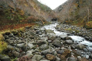 治山ダムから下流は全体に川底が下がり、両岸は崩れて垂直の崖状になっている。