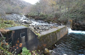 少しゆくと、治山ダムがあった。やはり、堤体の一部をV字型に切り込んだ細工が施されていた。