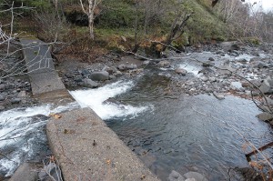 またまた、治山ダムが。治山ダムの下流の川岸を見ていただきたい。崩れていることがお分かりいただけると思う。
