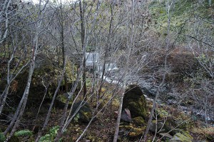さらに上流に治山ダムがあった。このあたり、林道は土砂で埋まっており、山登りして越える。ヒグマが出てきたら鉢合わせになりそうだ。