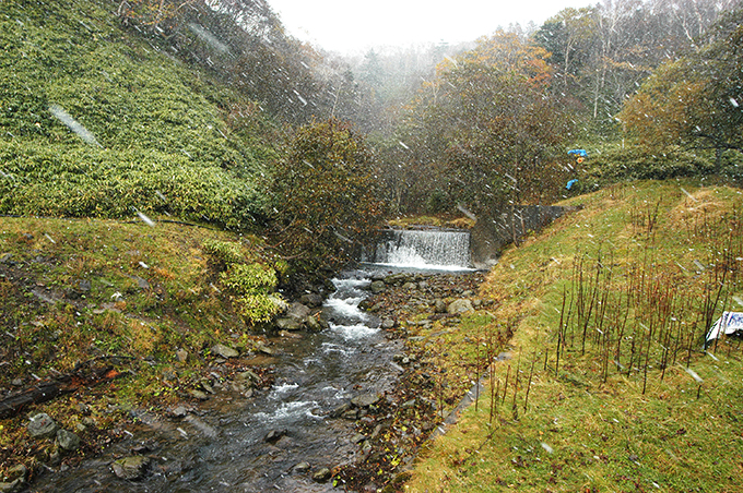 治山ダムの下流は川底がやや下がっている。