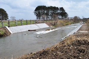 2010-04-30・加工済・山崎川・完成したばかりの魚道の下流の様子・DSC_0174