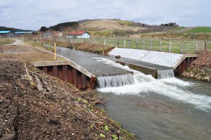 2010-04-30・加工済・山崎川・完成したばかりの魚道の下流の様子・DSC_0181