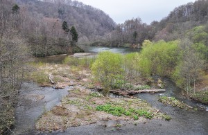 駒ヶ岳ダムの川の流入部は土砂が堆積し、広がっている。