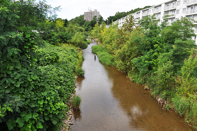 札幌の都市圏にありながら、樹林に囲まれた川が残されているが、たくさんの落差工が安定した川を壊す。いつまでこの風景が残っているだろうか…