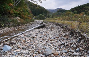 2011-10-16・加工済・八木川・DSC_0555
