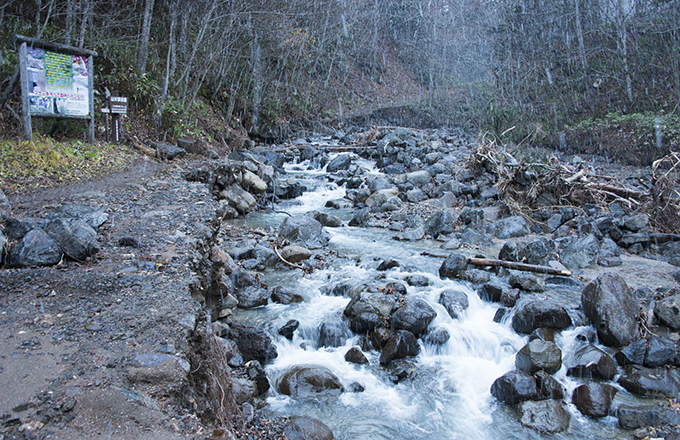 苔むした石の多かった空沼岳登山道入口でも道路が流されていた。