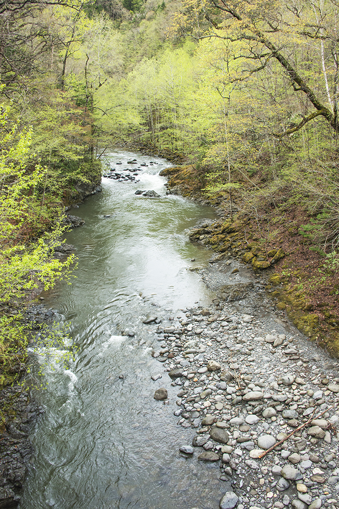 この川の上流に富村ダムがある。