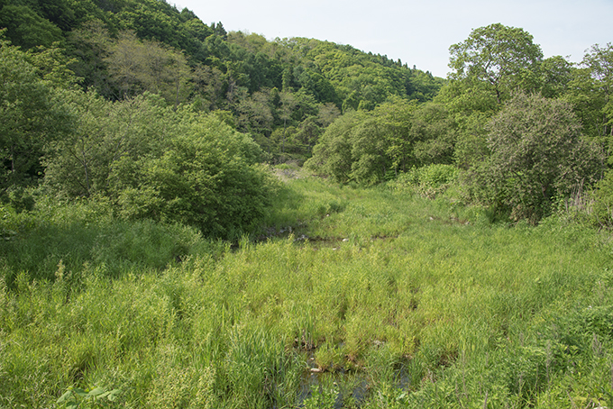 2015-05-30・加工済・松倉川・河畔林が多い・市街・KAZ_0061
