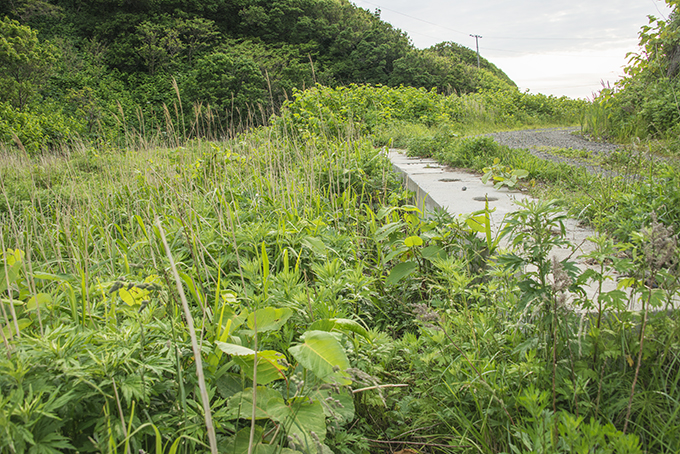 2015-06-07・加工済・良瑠石川・道路崩壊箇所はもう安全になった・KAZ_0442