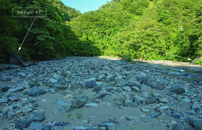 2015-07-06・臼別川・砂利で埋まった砂防ダム