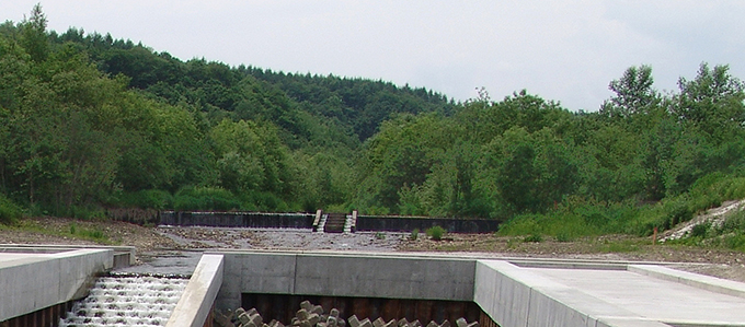 古い砂防ダムは最下流の砂防ダムのすぐ上流にある。2004年6月20日