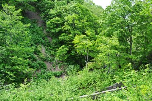 治山ダムの下流側では川底が下がるために、川に面した山の斜面が砂山崩しのようにずり落ちている。