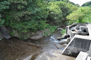 良瑠石川本流の下の治山ダムに取り付けられた「らせん式」魚道。清掃直後は水が流れているが、常時メンテナンスが必要な魚道である。