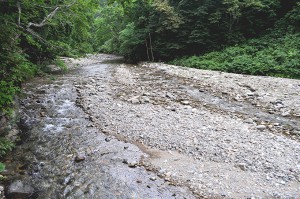 同、治山ダムの堆砂域は、上流へどんどん広がっている。そのため、川底が上昇し、その上を水が蛇行して流れるので、山の斜面を浸食し始める。