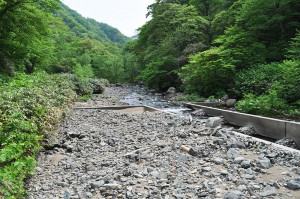 治山ダムの魚道の出口は、治山ダムにたまっている砂利とほぼ同じ高さになっている。こうした引き込み魚道は自然保護団体にはスリット式ダムと勘違いされることがある。