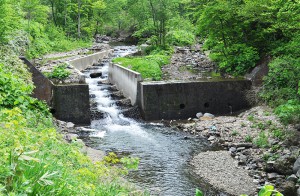 こちらも、治山ダムで、引き込み魚道が取り付けられている。砂利の流下量を制限するので、治山ダムの下流では川底が下がり続ける。
