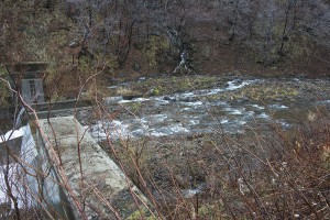 魚道は治山ダムに引き込んでいるだけなので、治山ダムがスリット化されたわけではない。魚道の出口は堤体と同じレベルだ。2013年11月21日