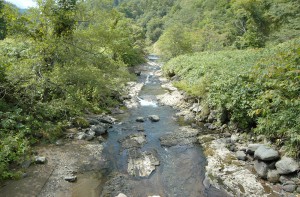 治山ダムの下流では川底の砂利が流される一方で、供給されることがないので、岩盤が露出してしまった。川の上流域になるこの場所ではサクラマスが遡上していたが産卵はできなくなった。