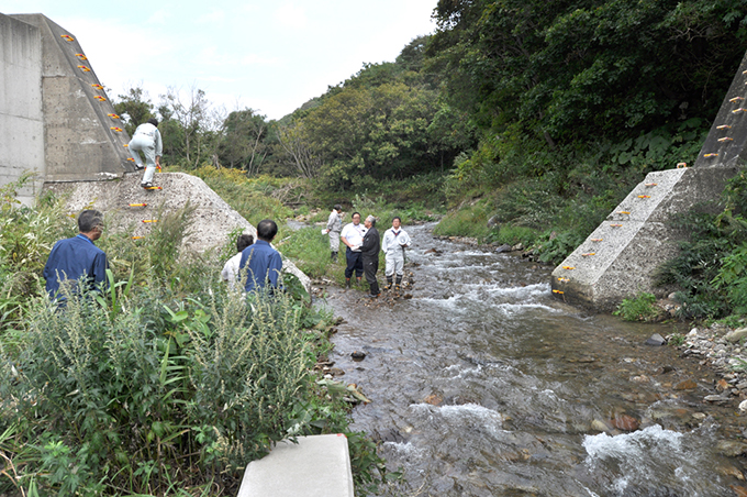 同、上流と下流がひとつながりの川に戻り、河床の砂利も魚が繁殖できるまでに回復し、川岸には草が繁茂している。漁民が求めていた元の川が蘇ってきた。2013年9月20日