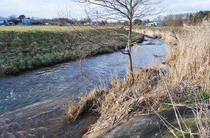 流れゆく先はラムサール条約指定国定公園の大沼だ。これでは大沼の環境は泥で埋まり改変してゆく。2010年12月10日