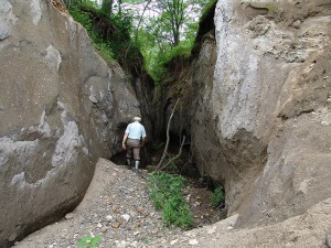 の小さな川のすぐ先は本流だ。本流の川底が下がったために、急速に川底が下がり、まるで苔の洞門のような姿になっている。2004年6月20日