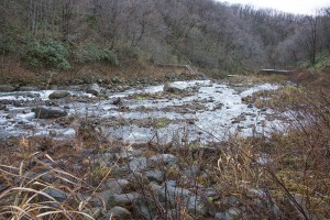 スリット化した治山ダムを上流側から見ると、治山ダムに貯まっている砂利は水が流れるところ周辺が流されただけで、全量が流れ出してはいない。