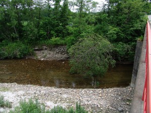 この小さな川のすぐ先は本流だ。本流の河床低下で急速に川底が下がり、まるで苔の洞門のような姿になっている。2004年6月20日