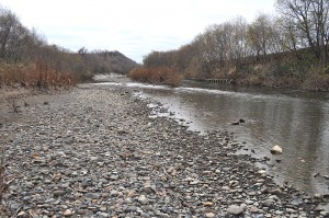 二股沢川が注ぐ羽幌川。羽幌川にも上流にダムがある。ために、二股沢川同様に川底が下がり、川岸の崩れが目立つ。その結果、泥水が発生するので、川底には微細砂やシルト（泥）が目立つ。サケやサクラマス、ウグイやウキゴリなど、多くの魚たちの繁殖は難しくなっていると思われる。