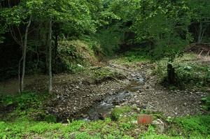 災害を発生させるような川とは思えない小さな小沢だ。ここに治山ダムを3基もつくり、さらにつくる予定だった。