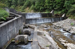 試験的に治山ダムのスリット化が行われることになった。スリット化の前の治山ダムだ。