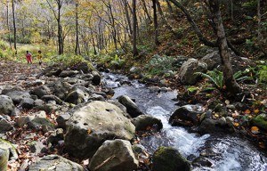 石狩市民ネットワークと一緒にこの小さな川をたどってみると…。2012年10月31日