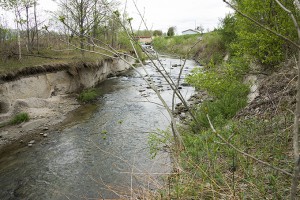 川底が下がるから岸が引き倒されるように崩れていく。2014年5月17日
