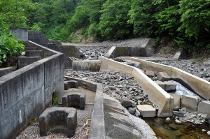スリット化後の治山ダムである。本体をスリット化し、副ダムは魚道を取り付けるにとどまり、中途半端なスリット化となった。
