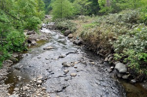 治山ダムのスリット化により、砂利が下流へと流れ出し、岩盤が露出していた川底に砂利が蘇った。秋にはこの場所でサクラマスが産卵するのが見られた。